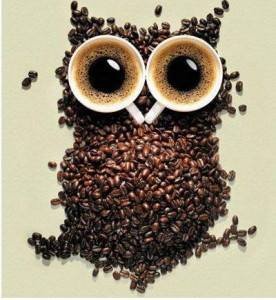 10384677_1534658833473824_5541752322687652266_n