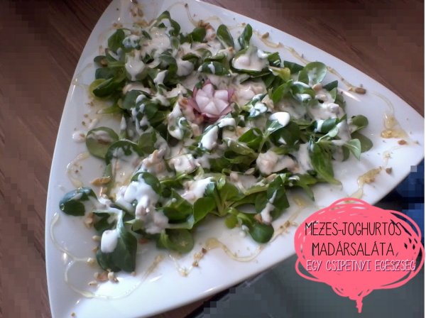mézes-joghurtos madársaláta