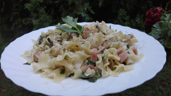 11897207_1094443740573282_855511074_n