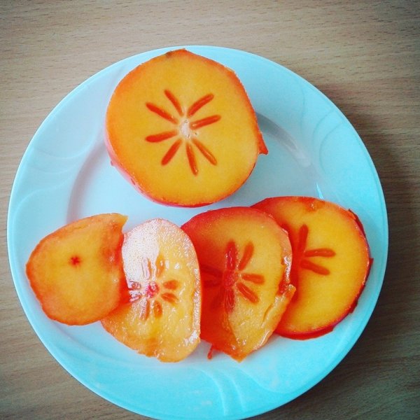 12189539_1637268623212844_6754090989913441903_n