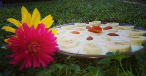 12049710_1628092737463766_765424707935466910_n